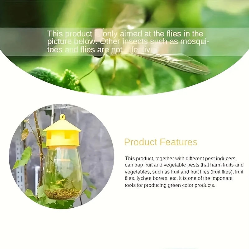 Reusable Fruit Fly Trap