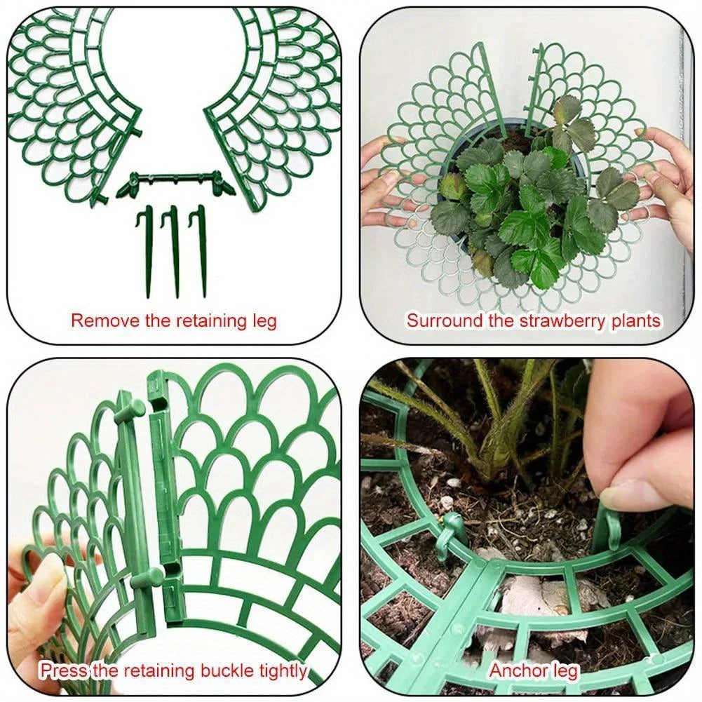 Strawberry Plant Supports - 5 pcs