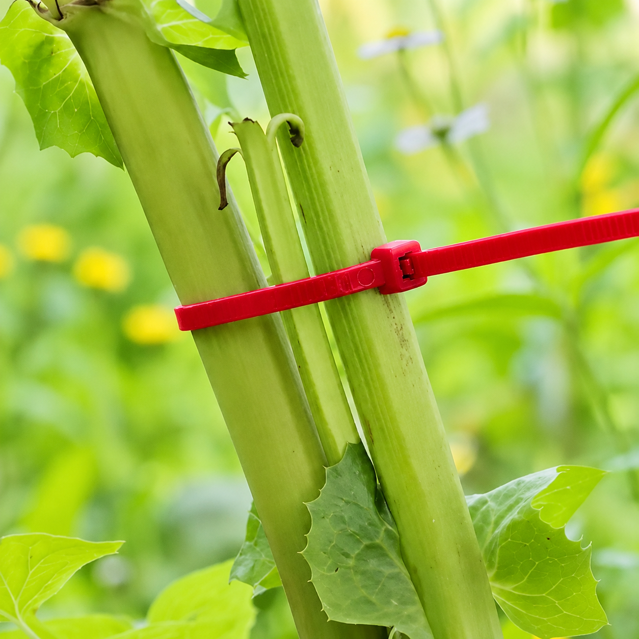 Plant Support Plastic Tie - 100 pcs