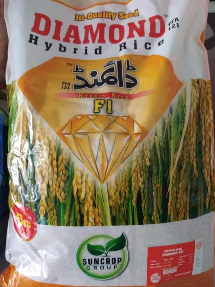 Diamond 121