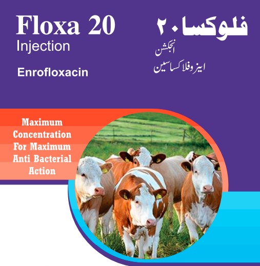 Floxa 20 (Injection)