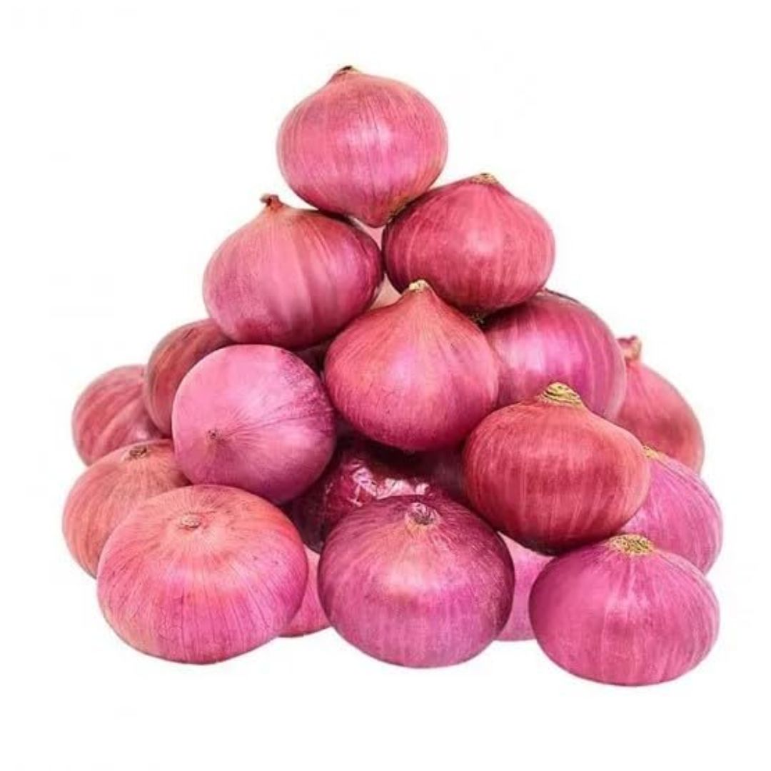 Onion F1 hybrid seeds