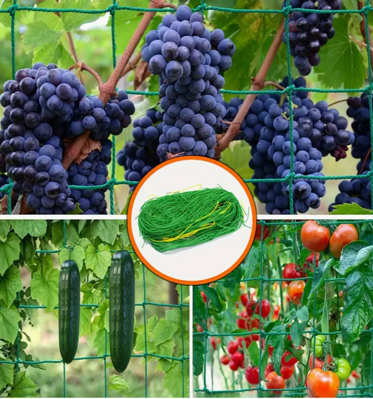 Plant Climbing Net - Green PE Material
