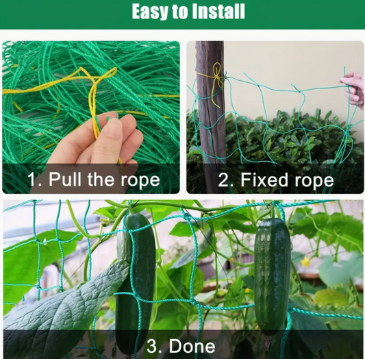 Plant Climbing Net - Green PE Material