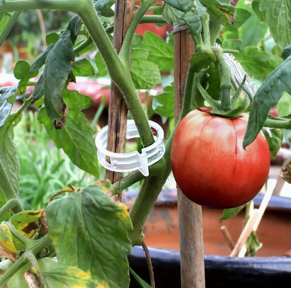 Durable 100pcs plant support clips for tomatoes, vines & vegetables. Easy snap-on, reusable, weather-resistant trellis ties. Buy online in Pakistan.