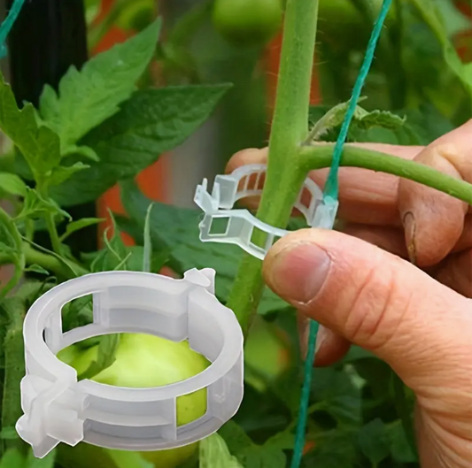 Durable 100pcs plant support clips for tomatoes, vines & vegetables. Easy snap-on, reusable, weather-resistant trellis ties. Buy online in Pakistan.
