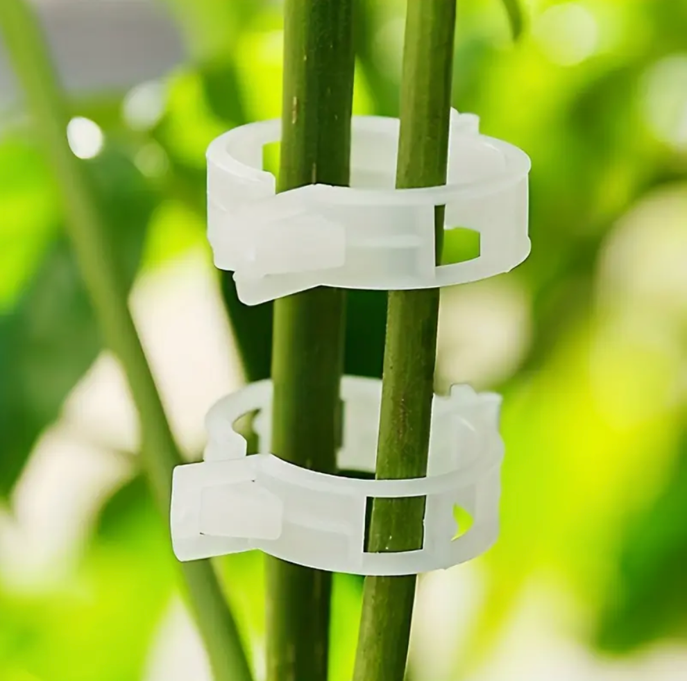 Durable 100pcs plant support clips for tomatoes, vines & vegetables. Easy snap-on, reusable, weather-resistant trellis ties. Buy online in Pakistan.
