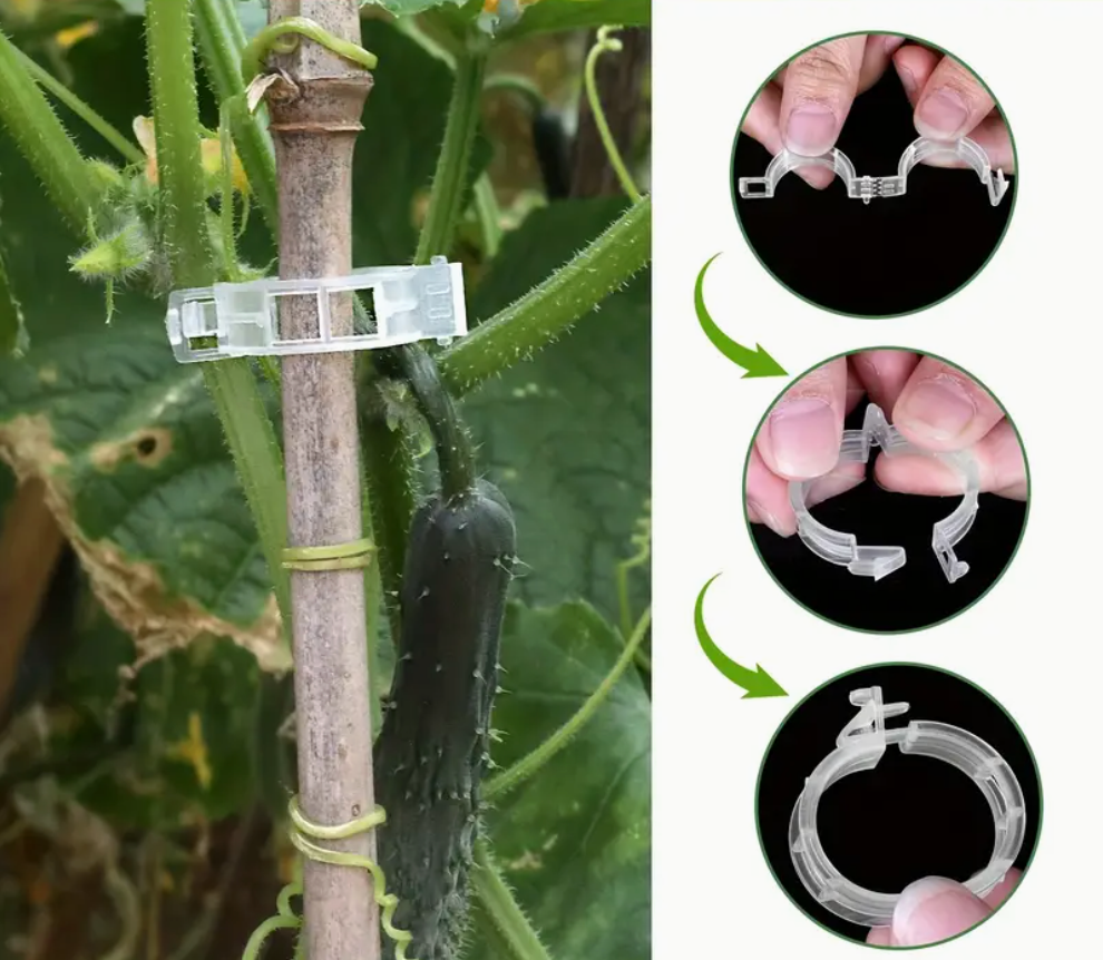 Durable 100pcs plant support clips for tomatoes, vines & vegetables. Easy snap-on, reusable, weather-resistant trellis ties. Buy online in Pakistan.