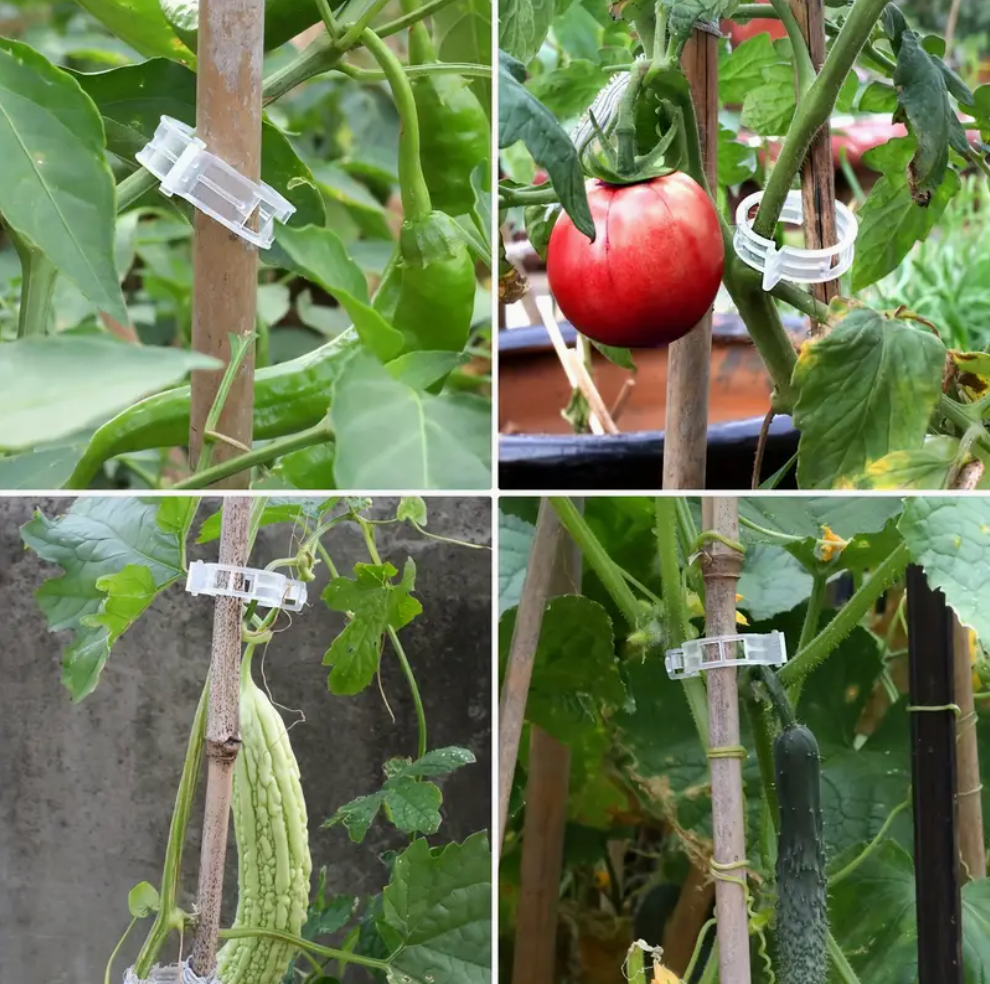 Durable 100pcs plant support clips for tomatoes, vines & vegetables. Easy snap-on, reusable, weather-resistant trellis ties. Buy online in Pakistan.