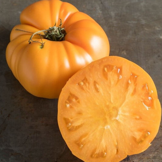 Yellow Beef Tomato Imported F1 Hybrid Seeds