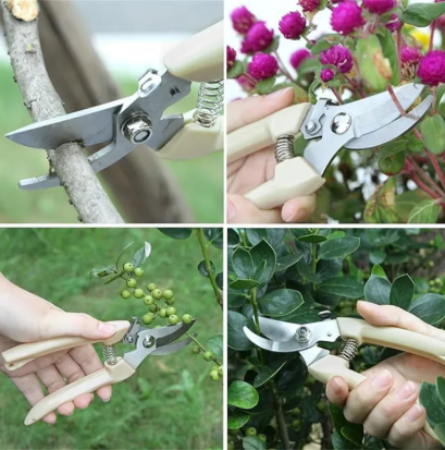 Gardening shears being used on branches.