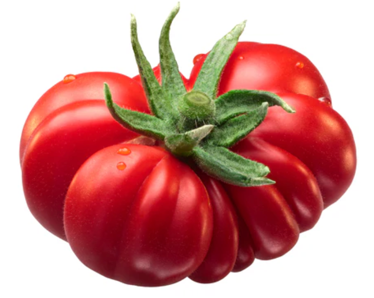 Costoloto Beef Tomato Imported F1 Hybrid Seeds
