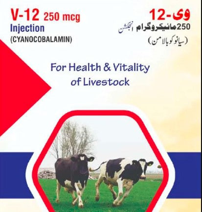 V-12 (250 mcg) انجکشن