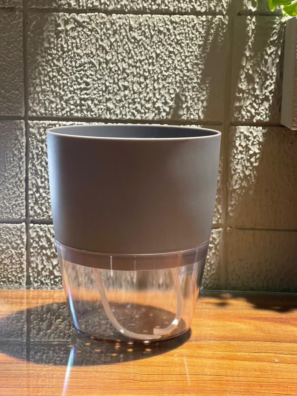 Gray Self-Watering Planters – Tabletop & Balcony