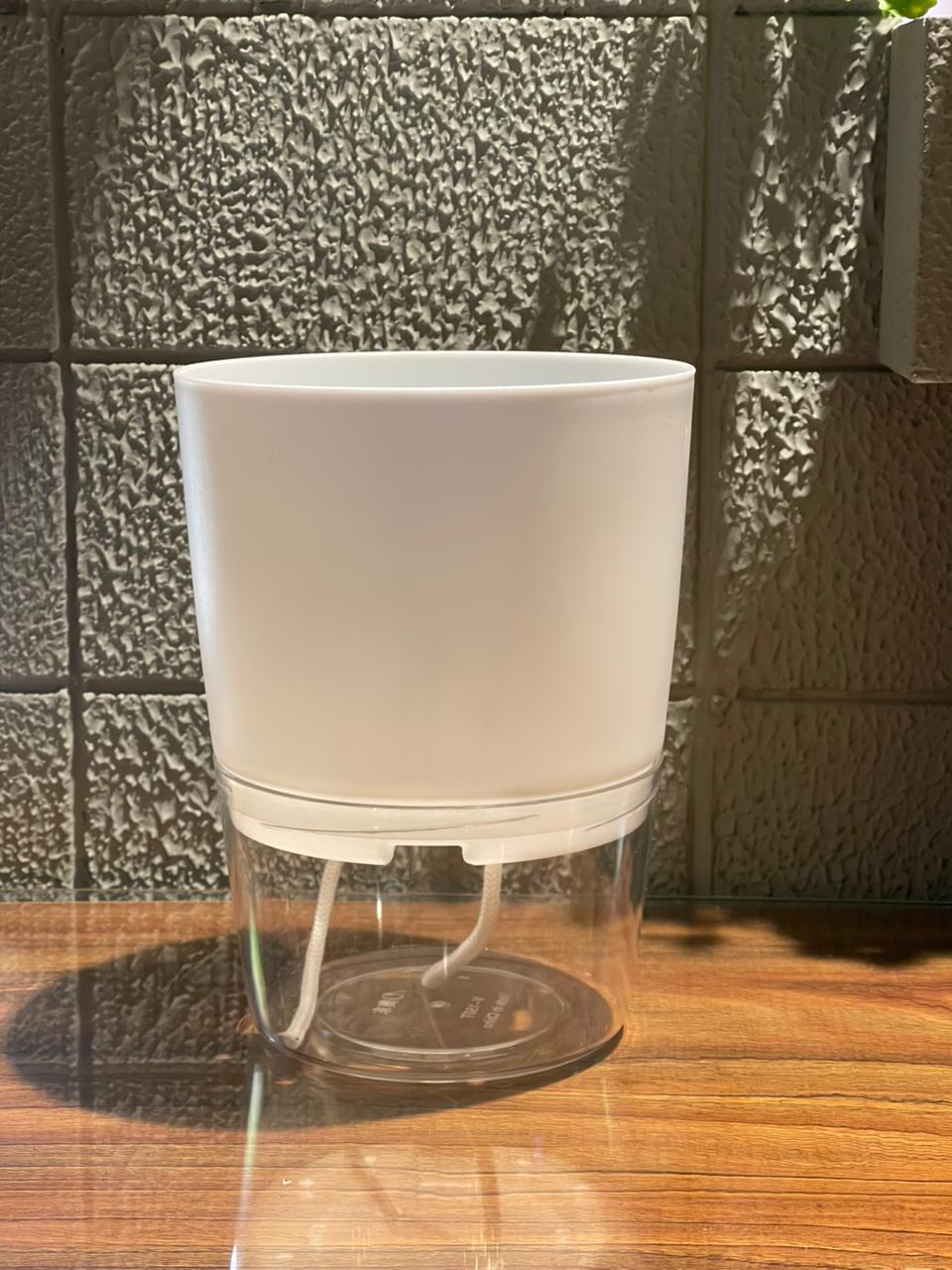 Gray Self-Watering Planters – Tabletop & Balcony