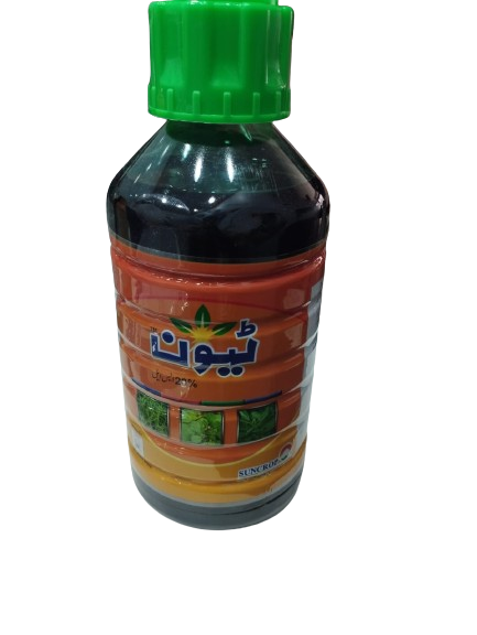 ٹیون
