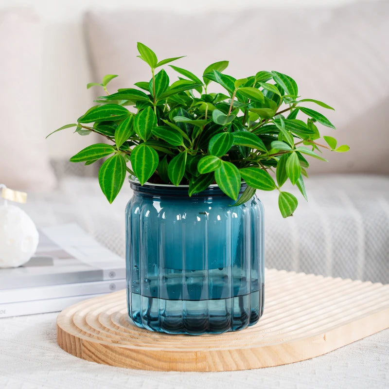 4pcs Self-Watering Planters Plastic Striped- Multi colored