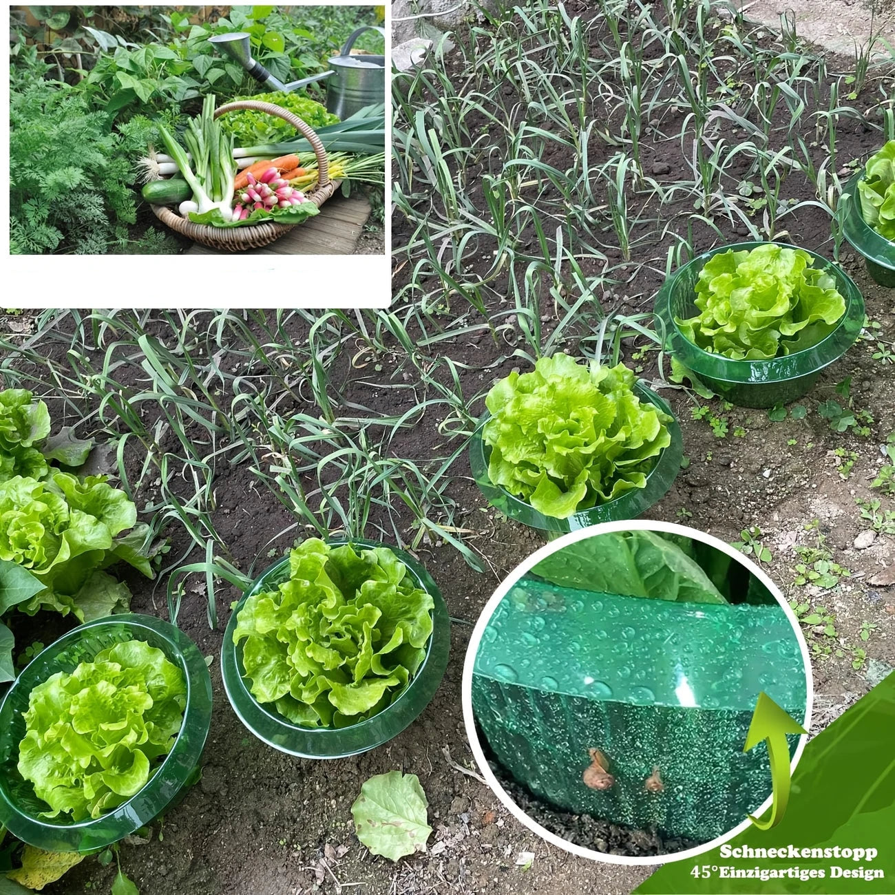 Plant Protection Collars - 5pcs