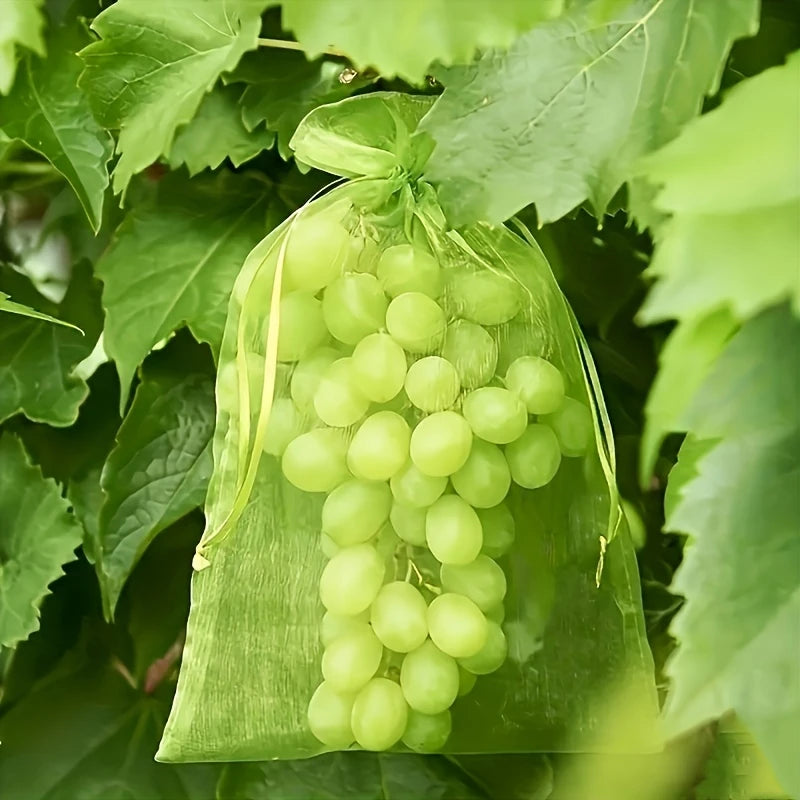 Fruit Protection Pouches