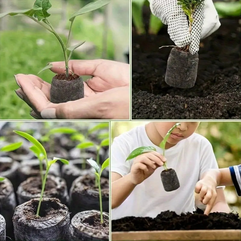 Seed Starter Pods - 10pcs peat pellets