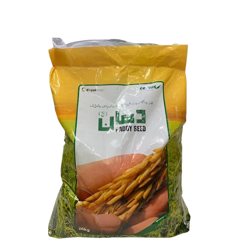 Basmati 515