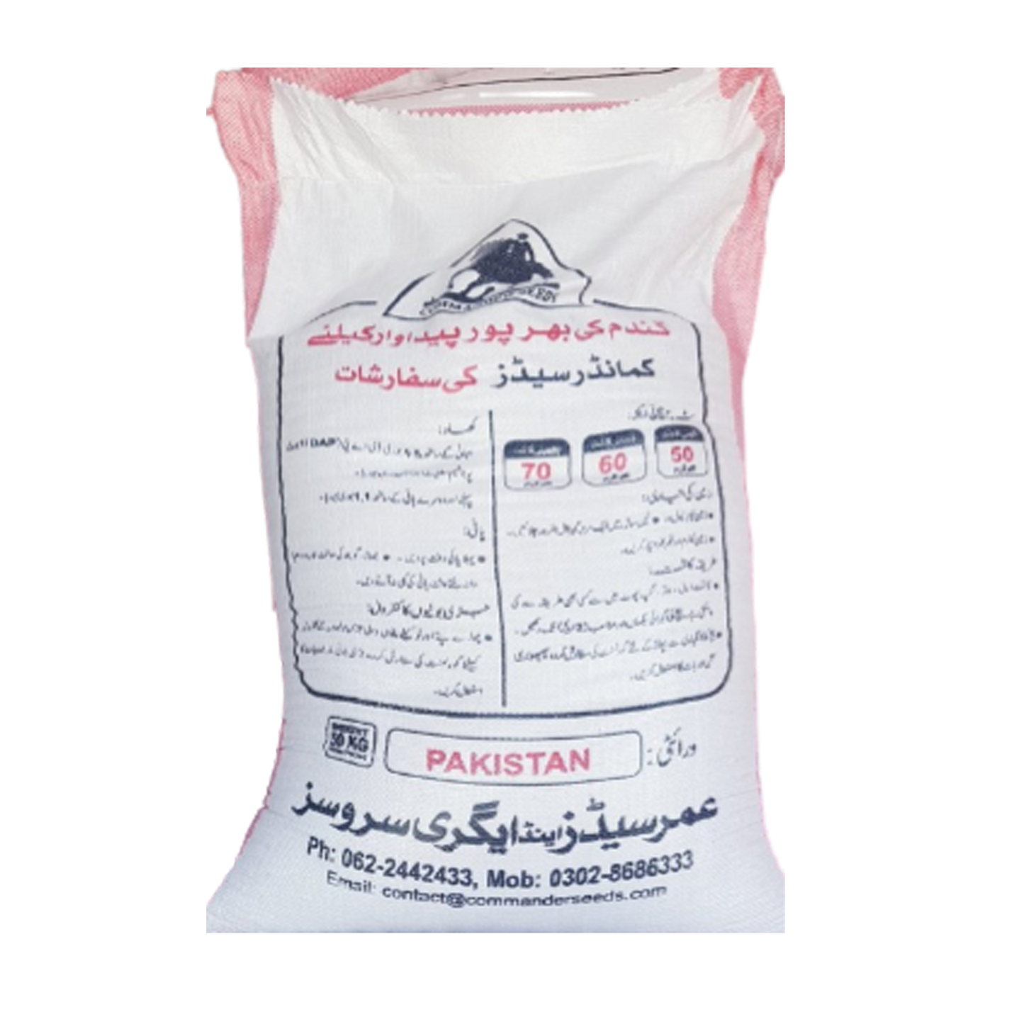Pakistan 13 Wheat Seed 50KG bag high yield certified wheat seeds in Pakistan