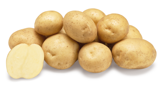 Sante (Potato seed)