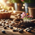 BaKhabar Kissan seed collection – hybrid and organic varieties