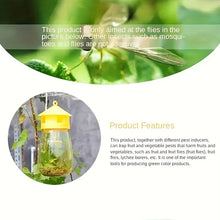 Bakhabar Kissan Fruit Fly Trap