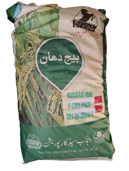 Rice Seed - 1509