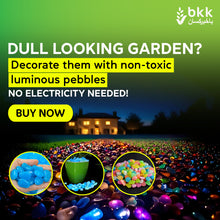 GLOW IN THE DARK Pebbles for Garden & Pots - 100pcs - White