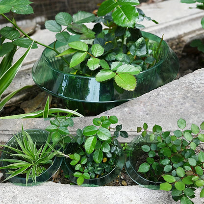 Plant Protection Collars - 5pcs