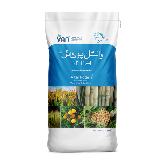 Vital Potash 5 KG