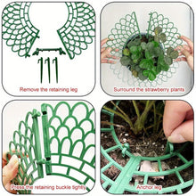 strawberry plant supports 5 Pcs