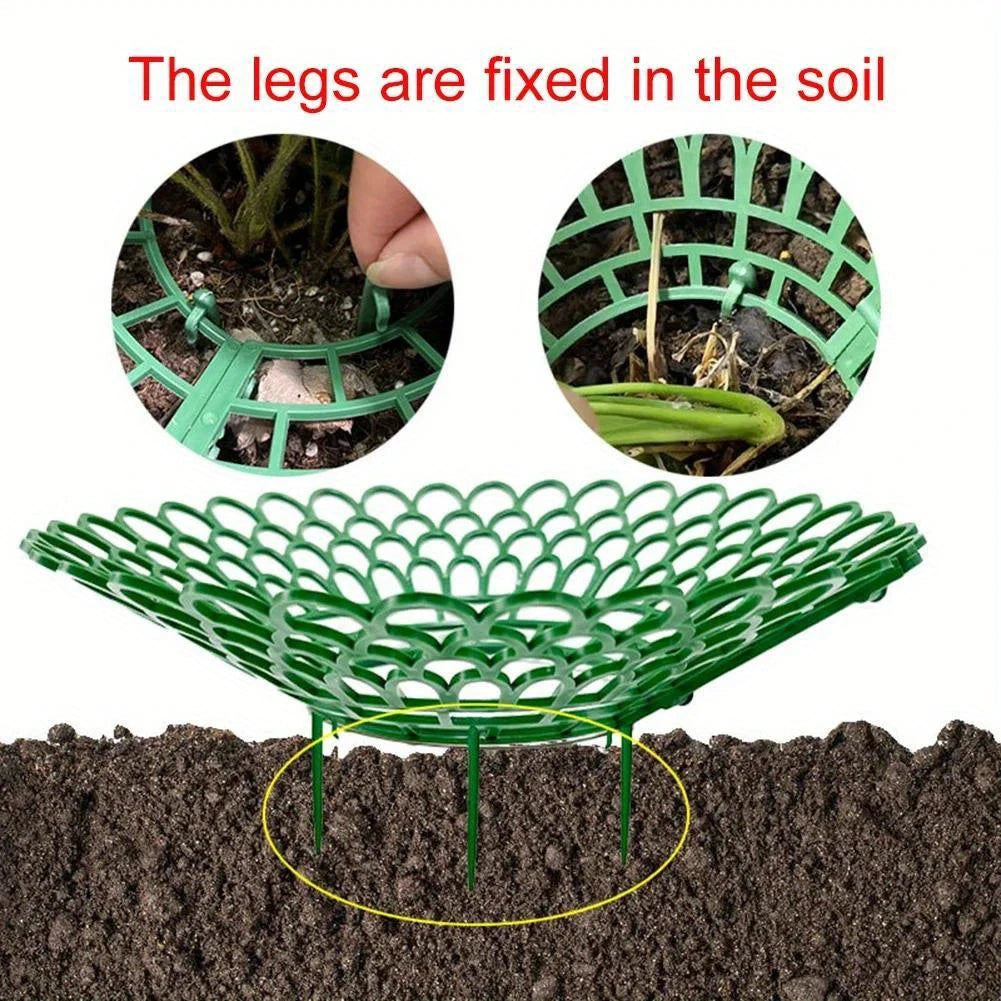 Strawberry Plant Supports - 5 pcs