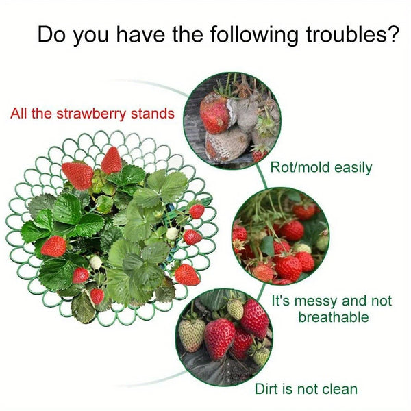 strawberry plant supports 5 Pcs
