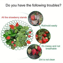 strawberry plant supports 5 Pcs