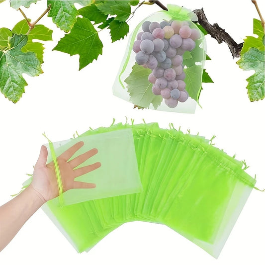 Fruit Protection Pouches