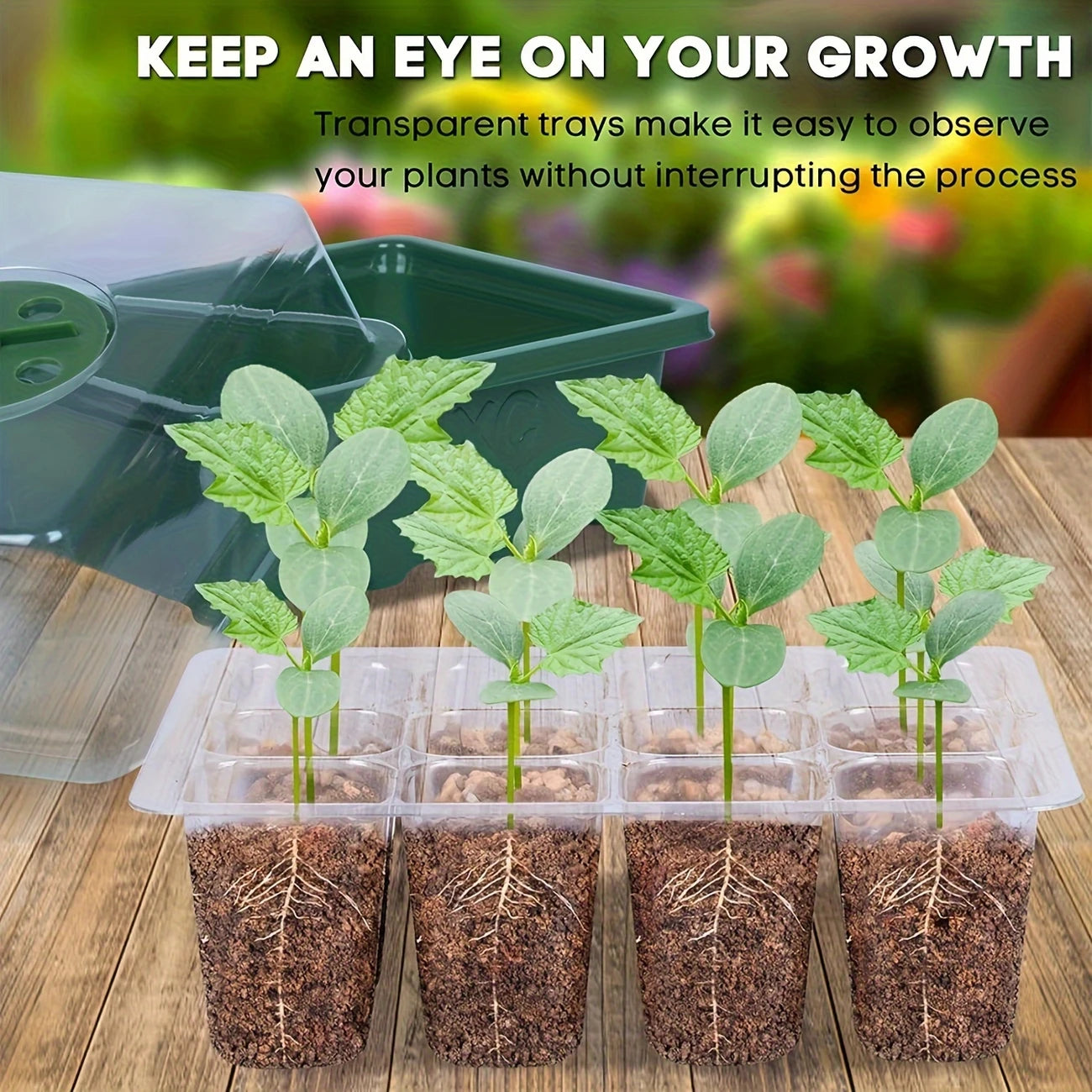 Versatile Green Seedling Starter Kit
