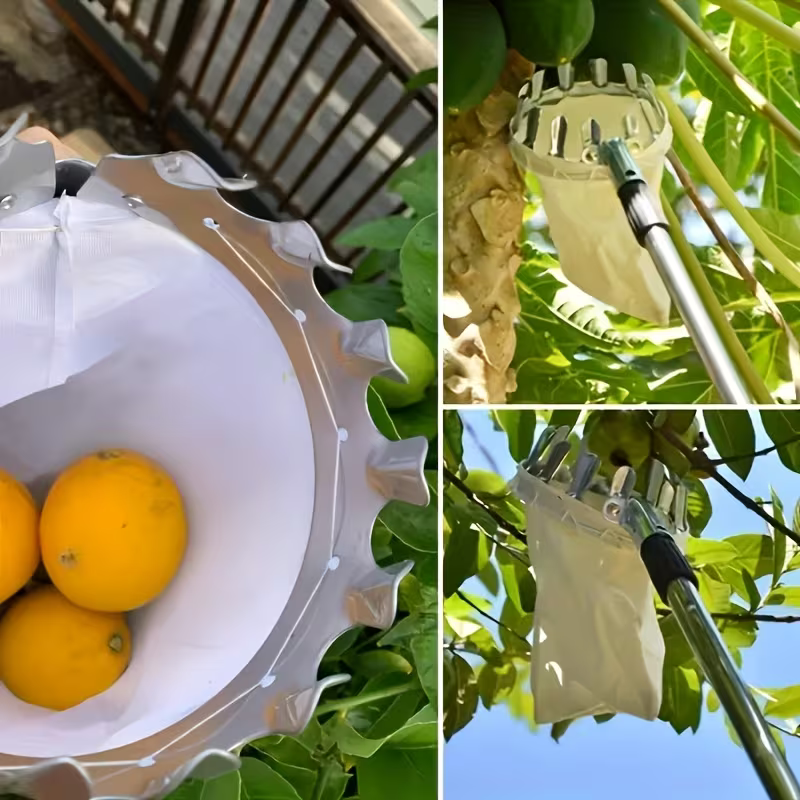 Fruit Picker Tool Pakistan