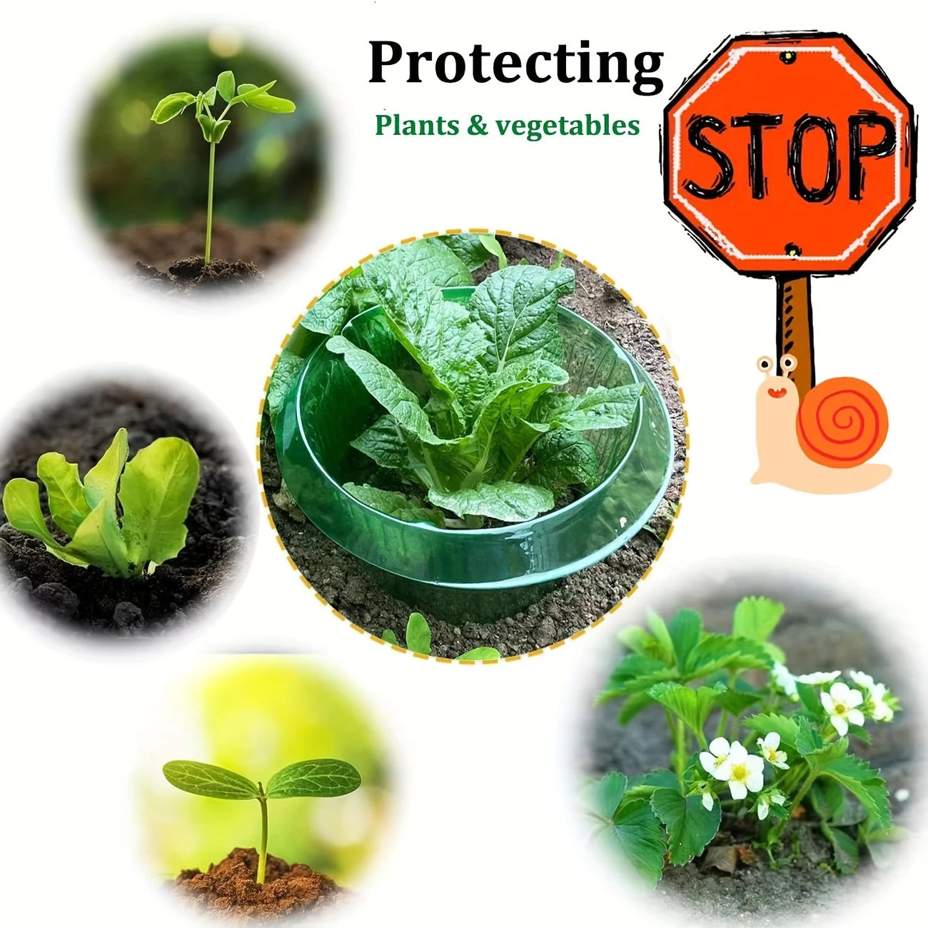 Plant Protection Collars - 5pcs
