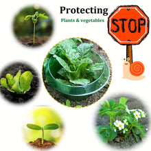 Plant Protection Collars - 5pcs