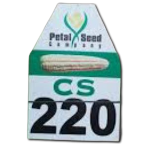 CS 220 Maize Seed 2KG