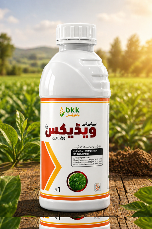 بی کے کے ویڈیکس