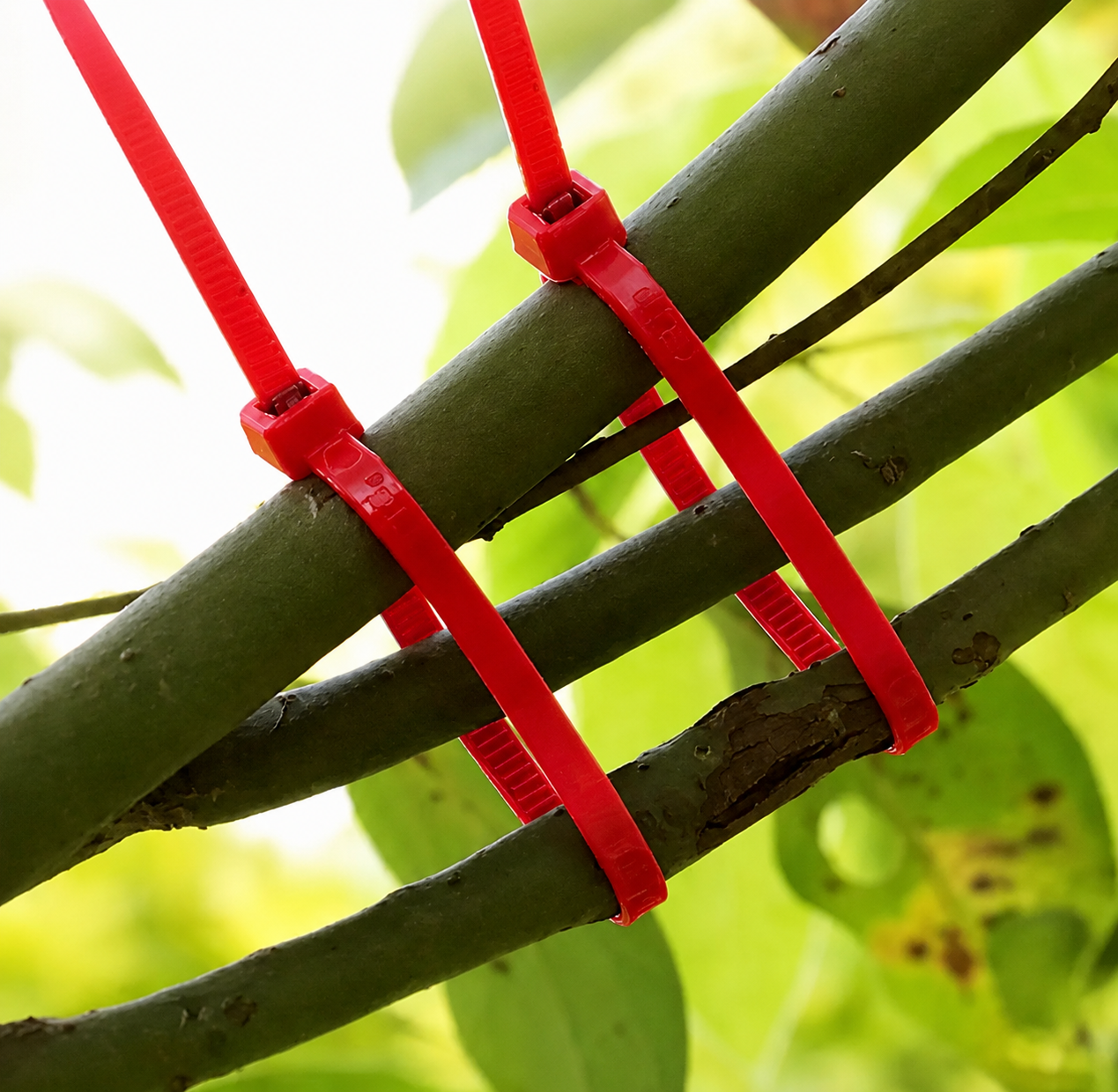 Plant Support Plastic Tie - 100 pcs