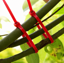Plant Support Plastic Tie - 100 pcs