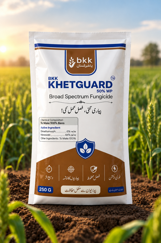 Bkk Khait Guard