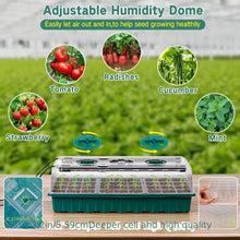 Versatile Seed Starter Kit with LED Lights 2 PCs