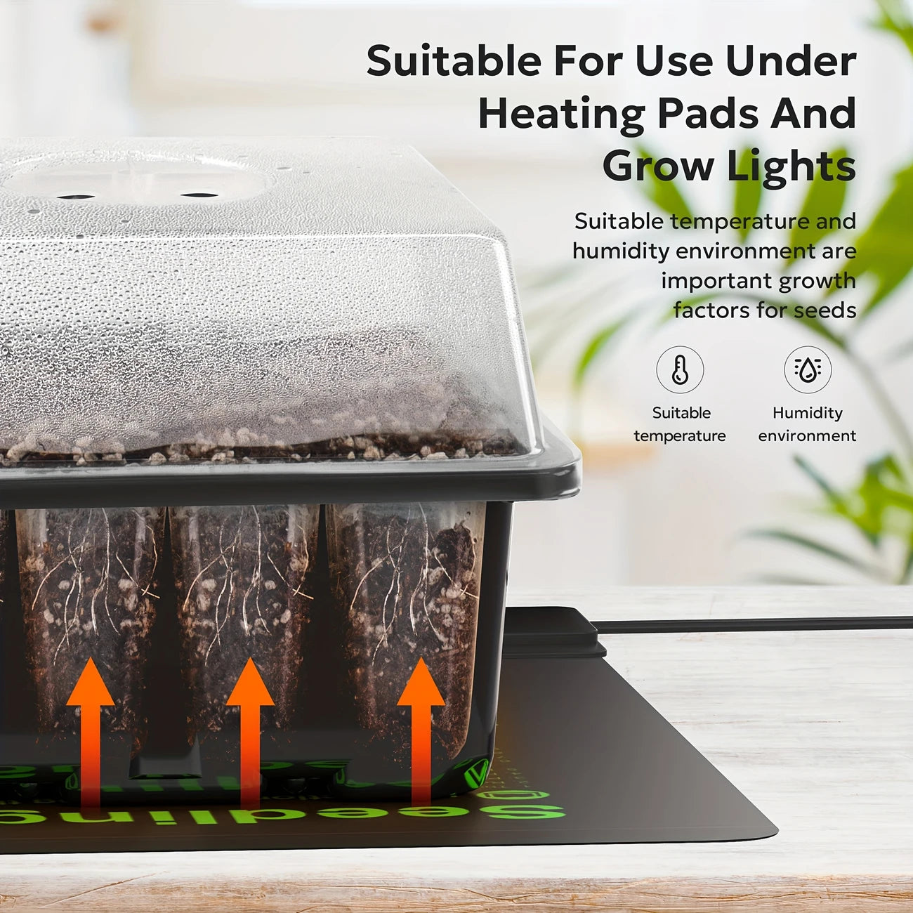 Versatile Black Seedling Starter Kit