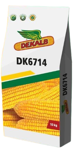 DK 6714 Hybrid Corn Seed